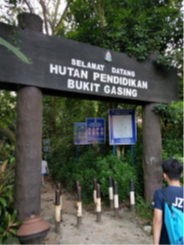 Malaysian Association of Sports Medicine (MASM 2026)