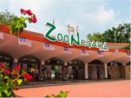 Malaysian Association of Sports Medicine (MASM 2026)