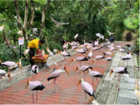 Malaysian Association of Sports Medicine (MASM 2026)